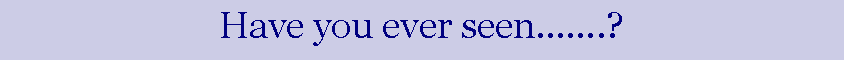 Text Box: Have you ever seen��.?
